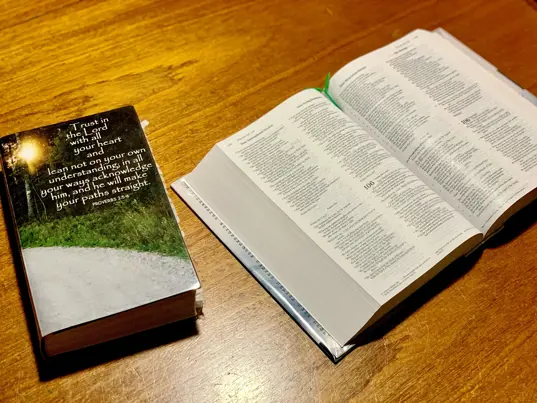 Bible study